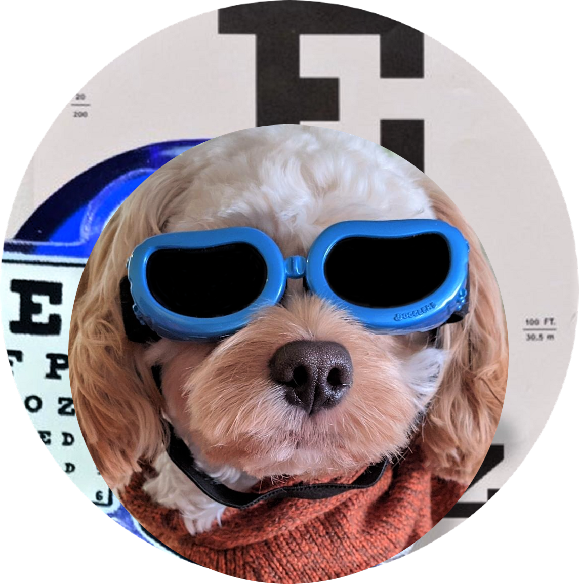 Dr. Hou Yan Larry Ng, Optometric Corporation (CF Richmond Centre)